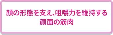 インプラントで咬むことで10歳若返る