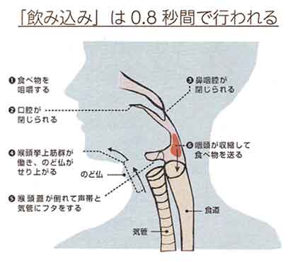 「骨折・転倒」は要介護となる原因のひとつ!