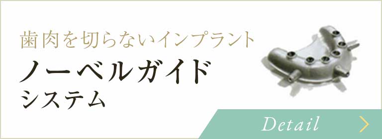 ノーベルガイドシステム